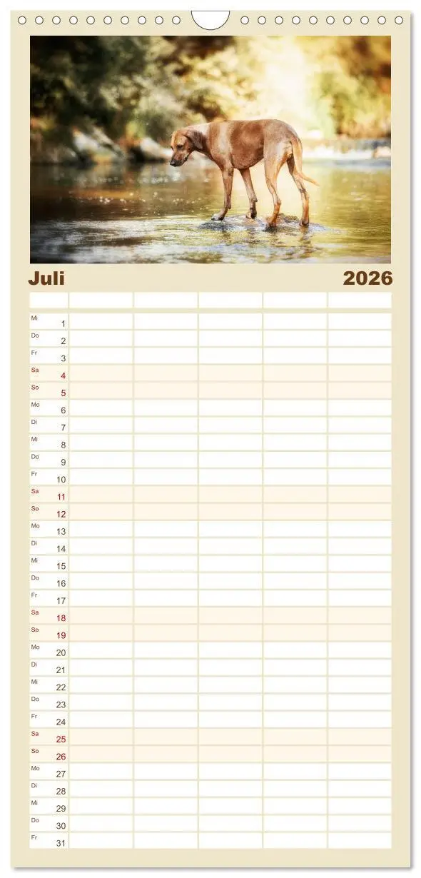 Bild: 9783516511451 | Familienplaner 2026 - Rhodesian Ridgeback - Herzen auf vier Pfoten...