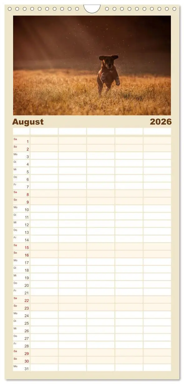 Bild: 9783516511451 | Familienplaner 2026 - Rhodesian Ridgeback - Herzen auf vier Pfoten...