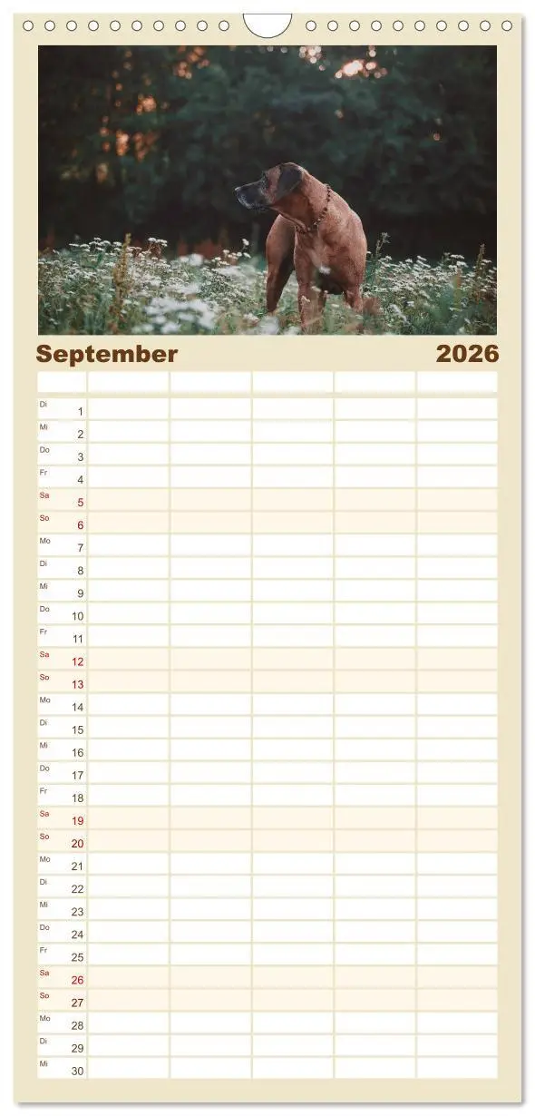 Bild: 9783516511451 | Familienplaner 2026 - Rhodesian Ridgeback - Herzen auf vier Pfoten...