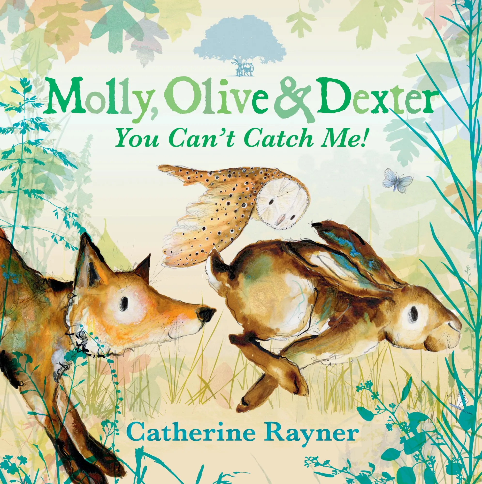 Cover: 9781529501551 | Molly, Olive and Dexter: You Can't Catch Me! | Catherine Rayner | Buch
