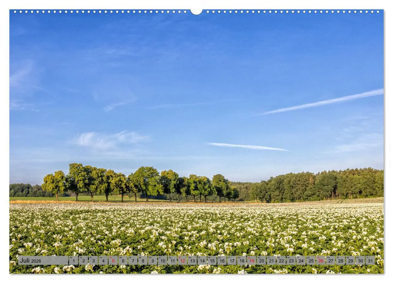Bild: 9783457571651 | Erlebnis Wendland (Wandkalender 2026 DIN A2 quer), CALVENDO...