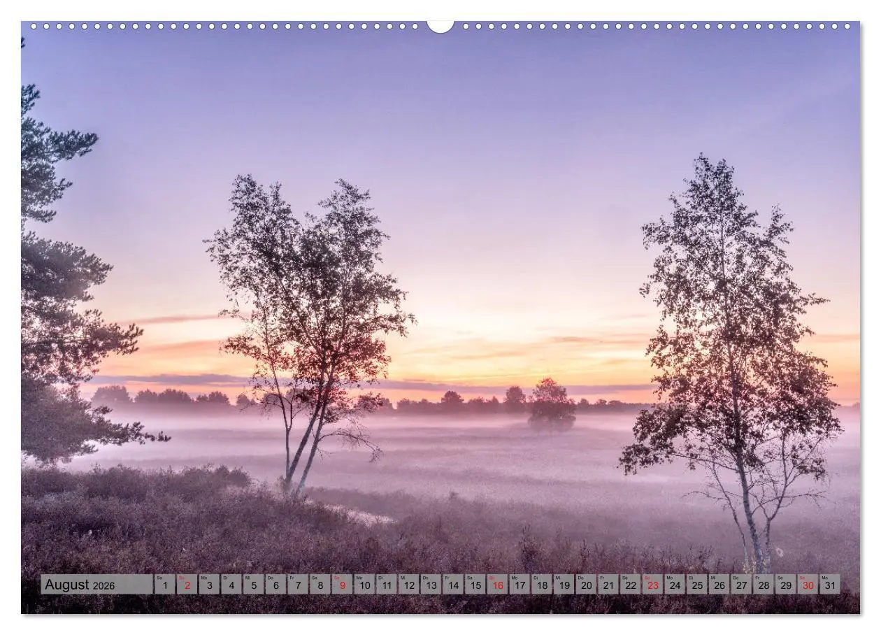 Bild: 9783457571651 | Erlebnis Wendland (Wandkalender 2026 DIN A2 quer), CALVENDO...