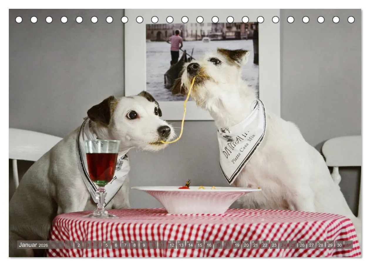 Bild: 9783457951651 | Die Parson-Russell-Terrier ...mit neuen Abenteuern aus der...