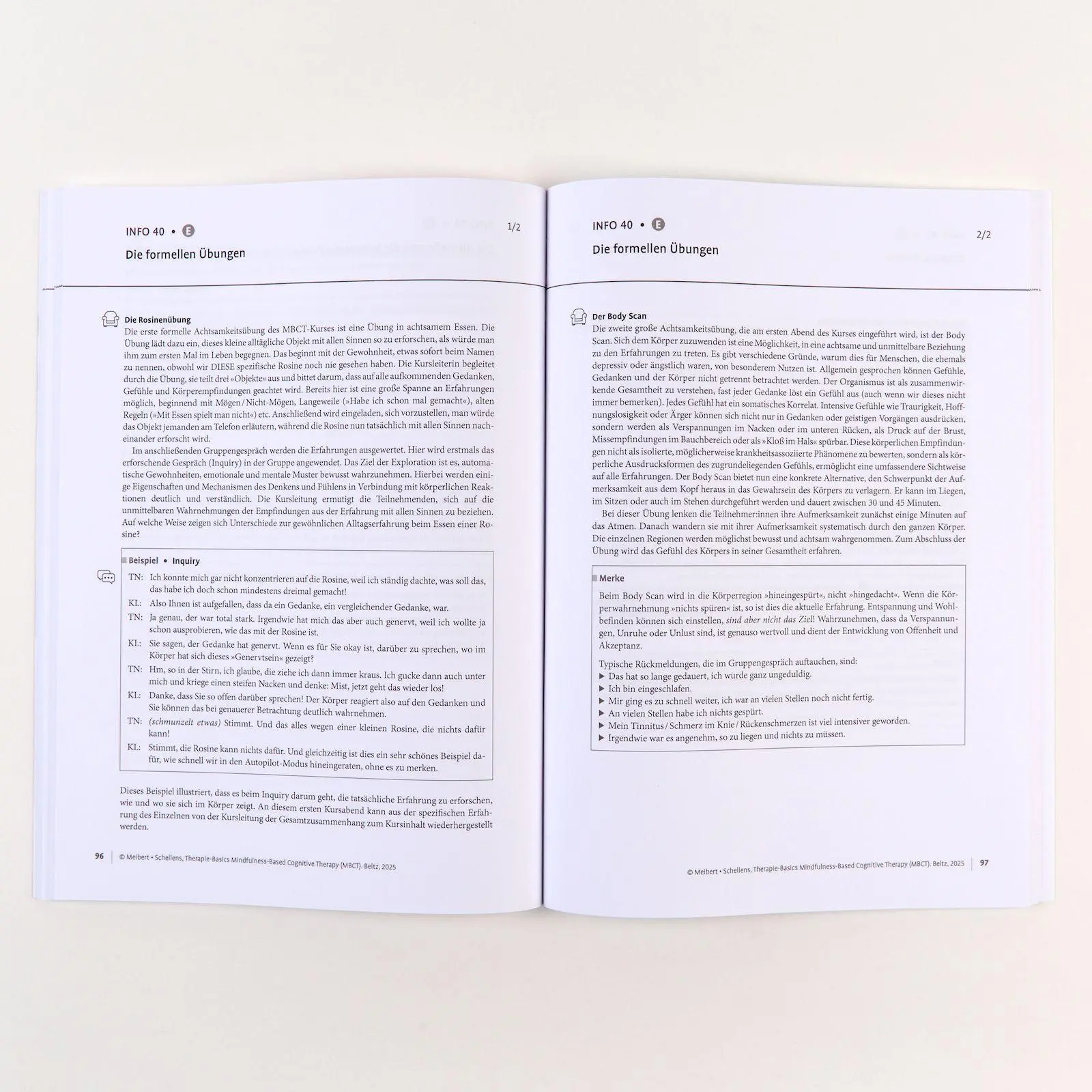 Bild: 9783621291651 | Therapie-Basics Mindfulness-Based Cognitive Therapy (MBCT) | Bundle