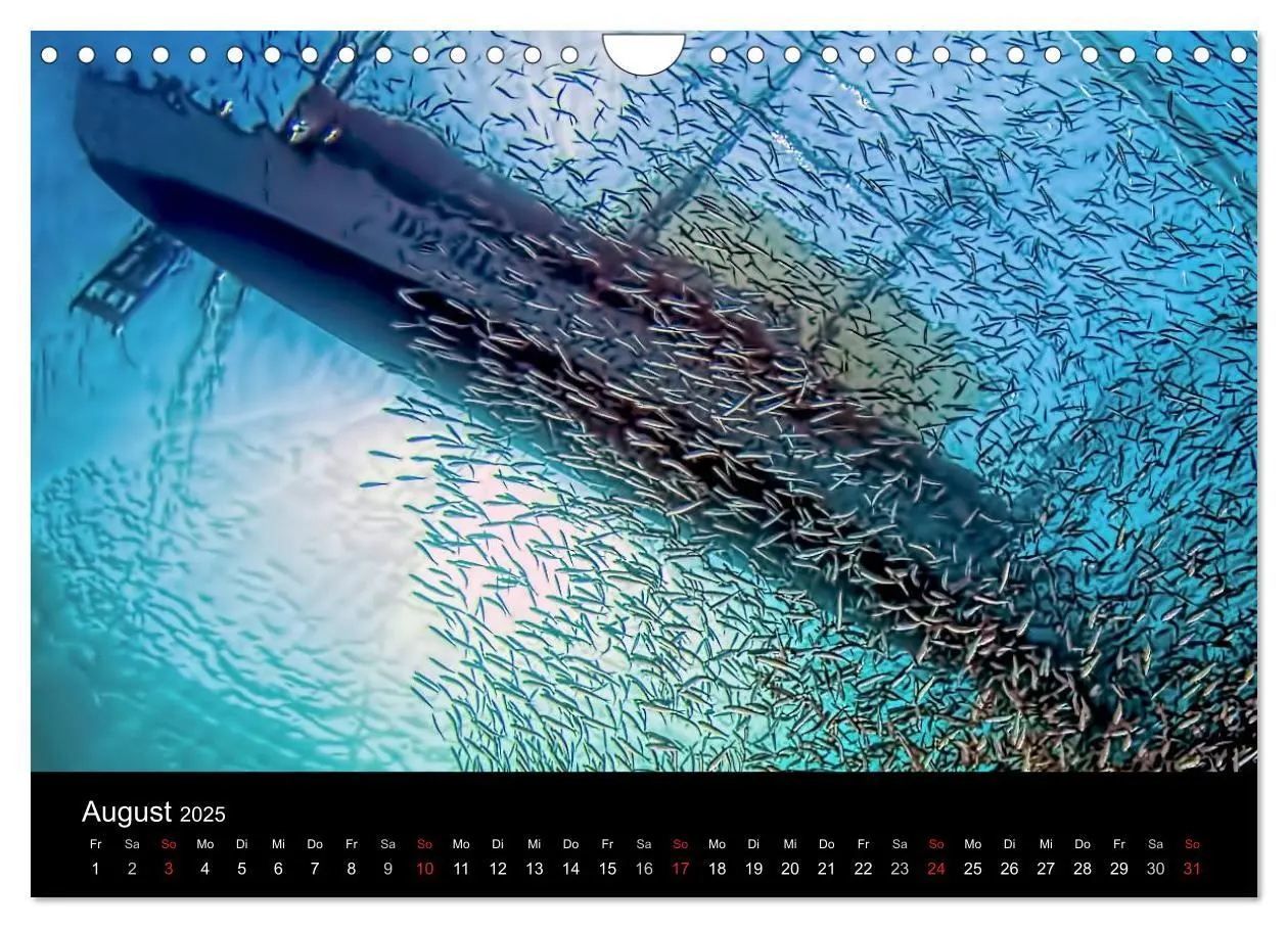 Bild: 9783435611751 | Fischschwärme (Wandkalender 2025 DIN A4 quer), CALVENDO Monatskalender