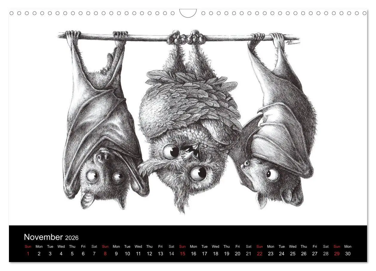 Bild: 9783516581751 | owls &amp; friends 2026 (Wall Calendar 2026 DIN A3 landscape), CALVENDO...