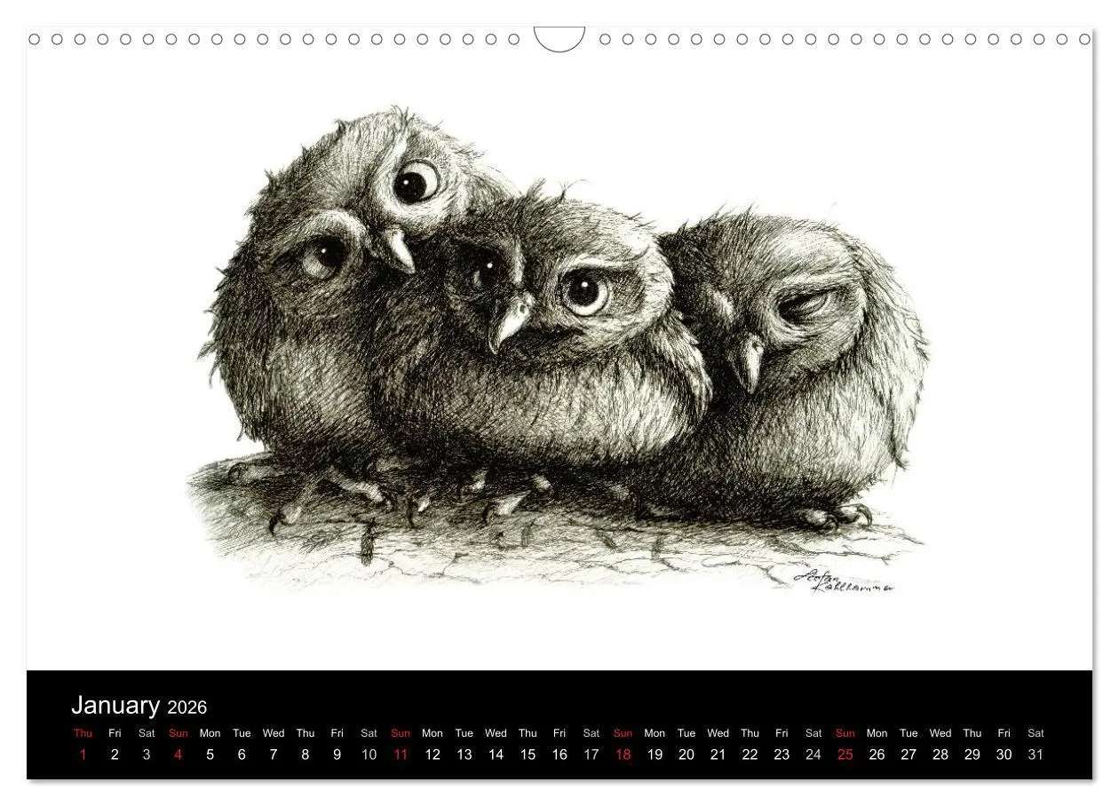 Bild: 9783516581751 | owls &amp; friends 2026 (Wall Calendar 2026 DIN A3 landscape), CALVENDO...