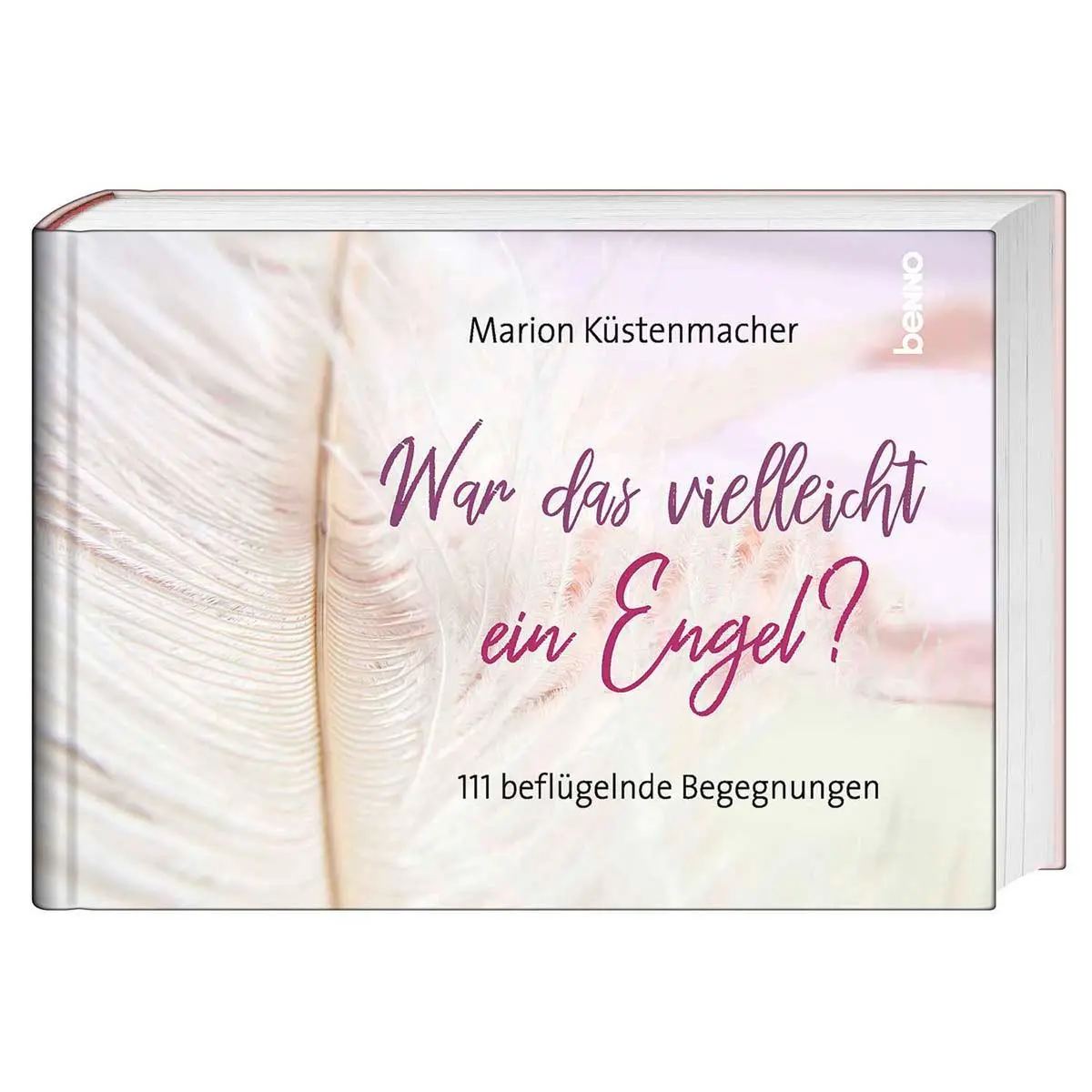 Cover: 9783746261751 | War das vielleicht ein Engel? | 111 beflügelnde Begegnungen | Buch