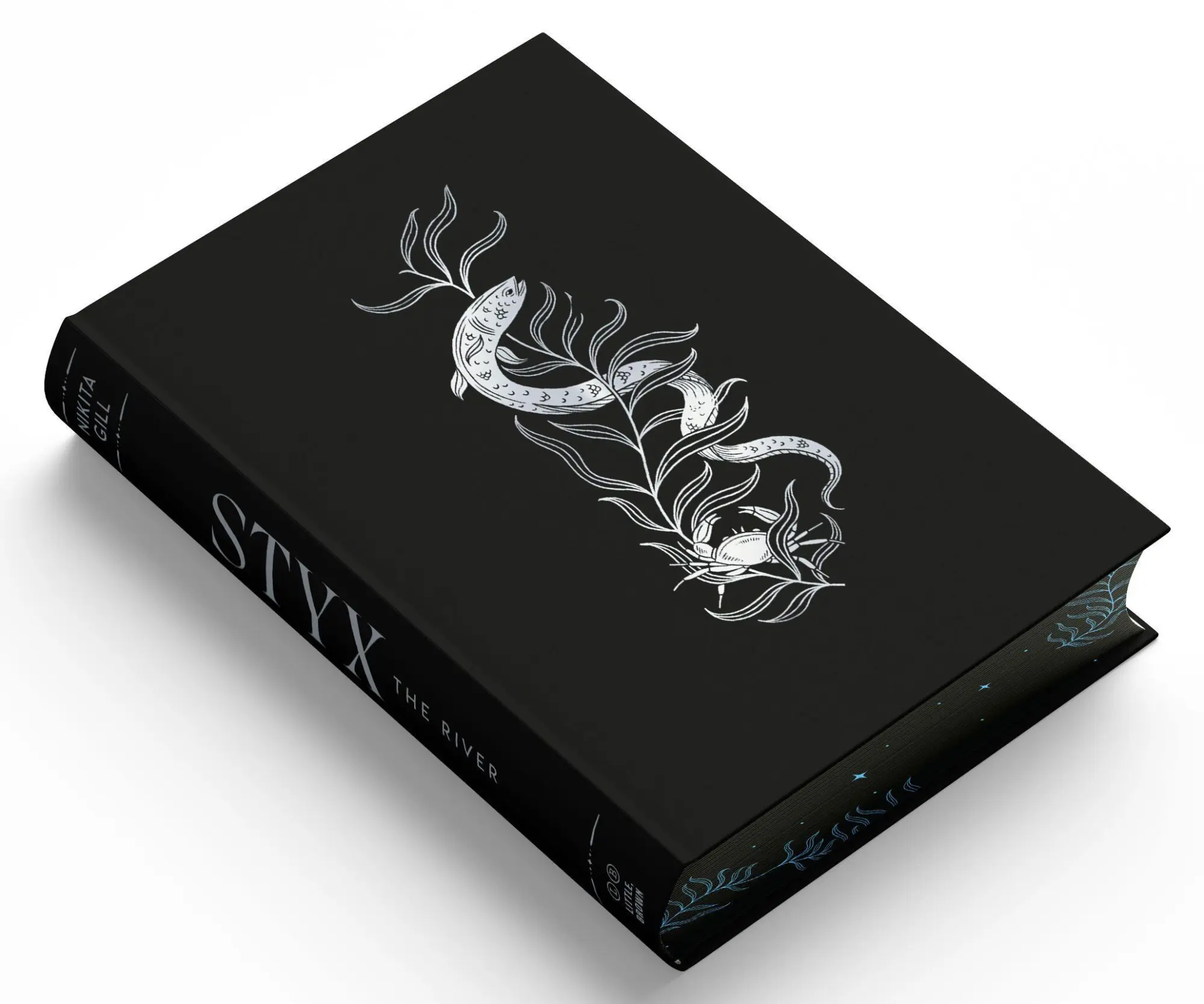 Bild: 9780316581851 | Styx | The River (Deluxe Limited Edition) | Nikita Gill | Buch | 2026
