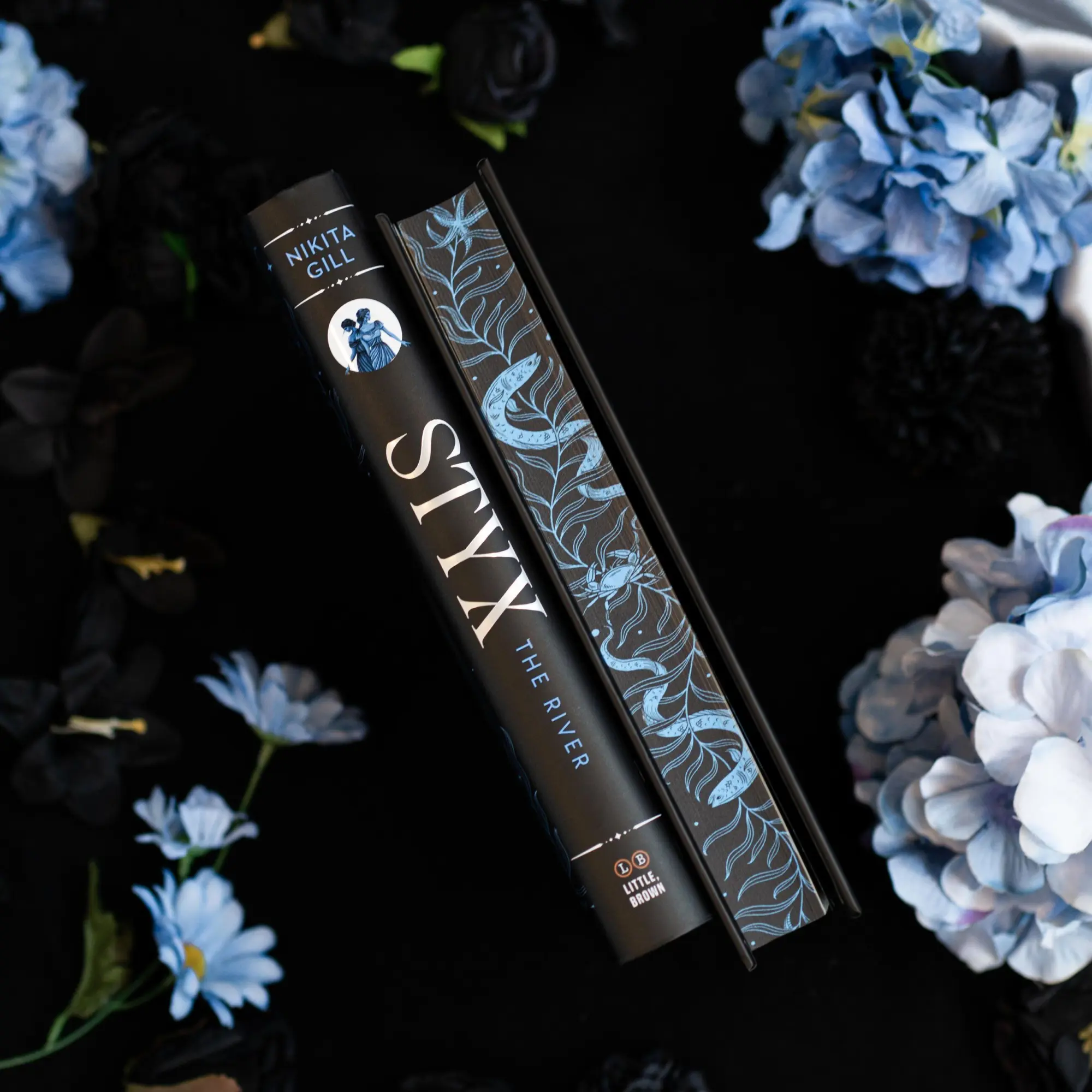 Bild: 9780316581851 | Styx | The River (Deluxe Limited Edition) | Nikita Gill | Buch | 2026