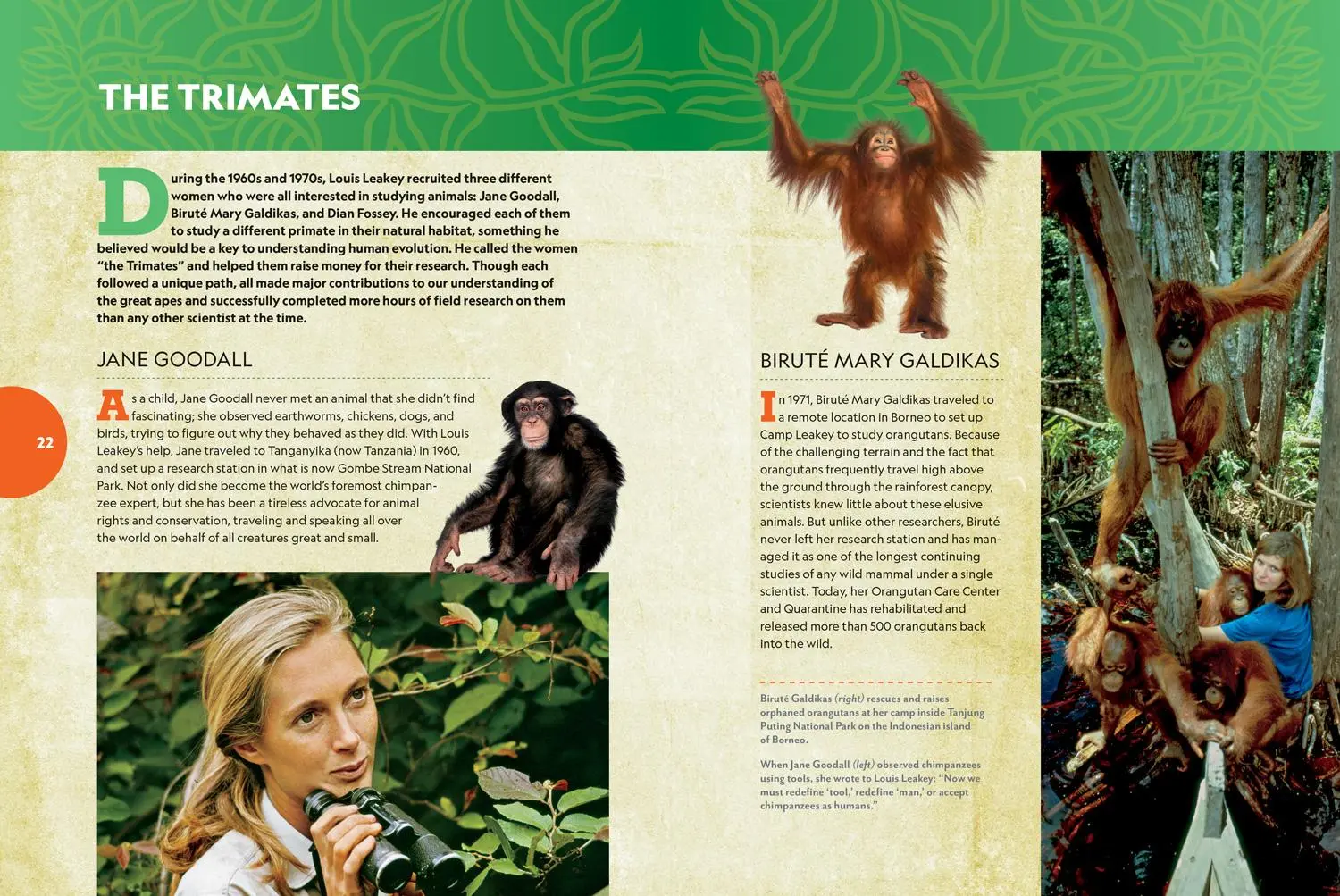Bild: 9781426371851 | Unforgotten | Anita Silvey (u. a.) | Buch | National Geographic Kids