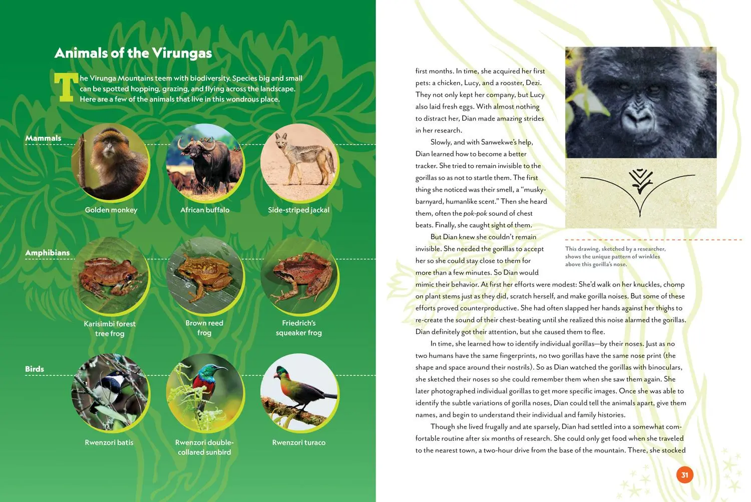 Bild: 9781426371851 | Unforgotten | Anita Silvey (u. a.) | Buch | National Geographic Kids