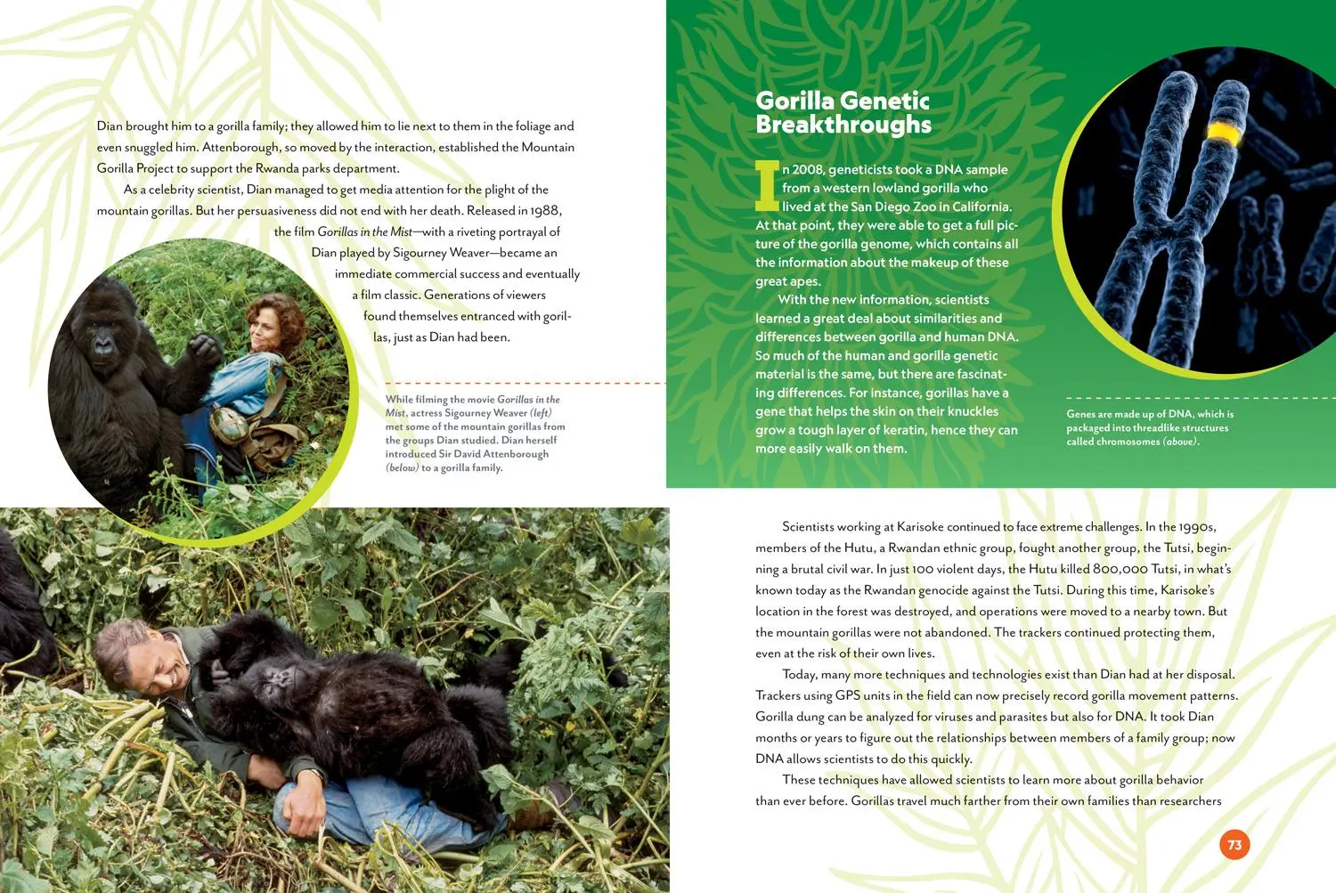 Bild: 9781426371851 | Unforgotten | Anita Silvey (u. a.) | Buch | National Geographic Kids