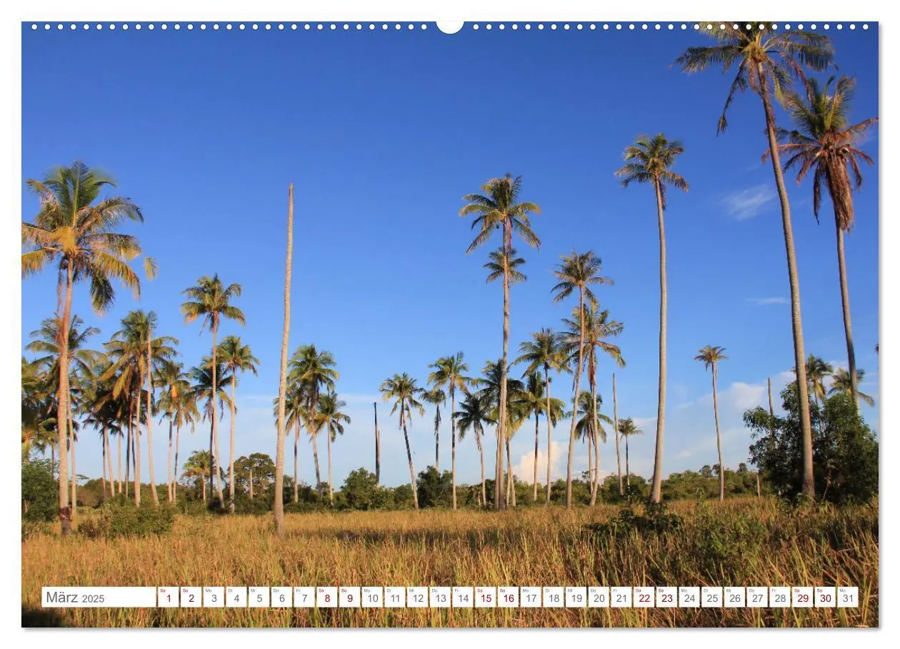 Bild: 9783435081851 | Indonesien pur und schön (Wandkalender 2025 DIN A2 quer), CALVENDO...