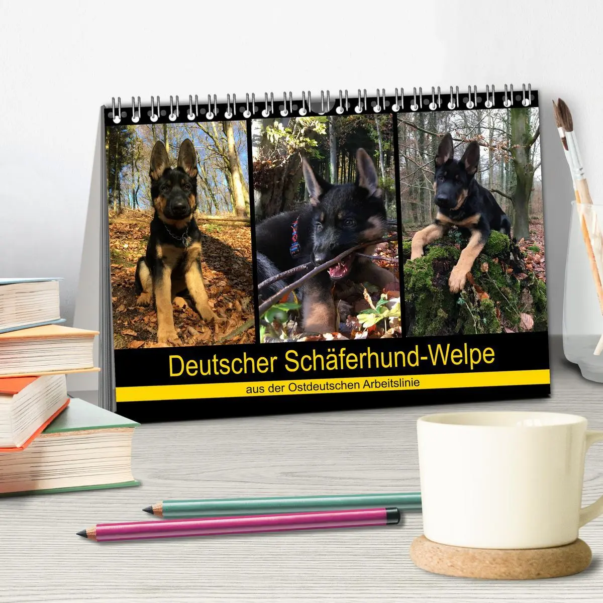 Bild: 9783457861851 | Deutscher Schäferhund-Welpe - aus der Ostdeutschen Arbeitslinie...