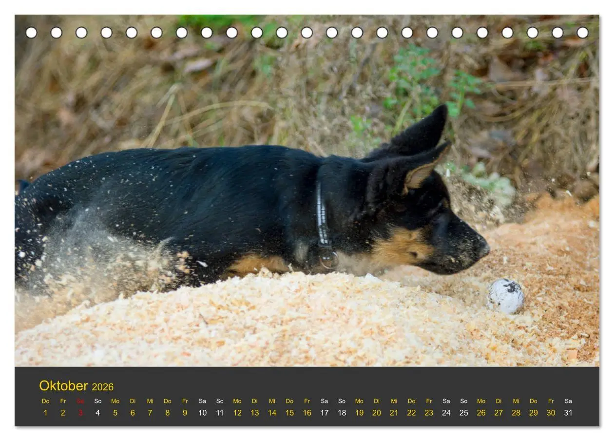 Bild: 9783457861851 | Deutscher Schäferhund-Welpe - aus der Ostdeutschen Arbeitslinie...