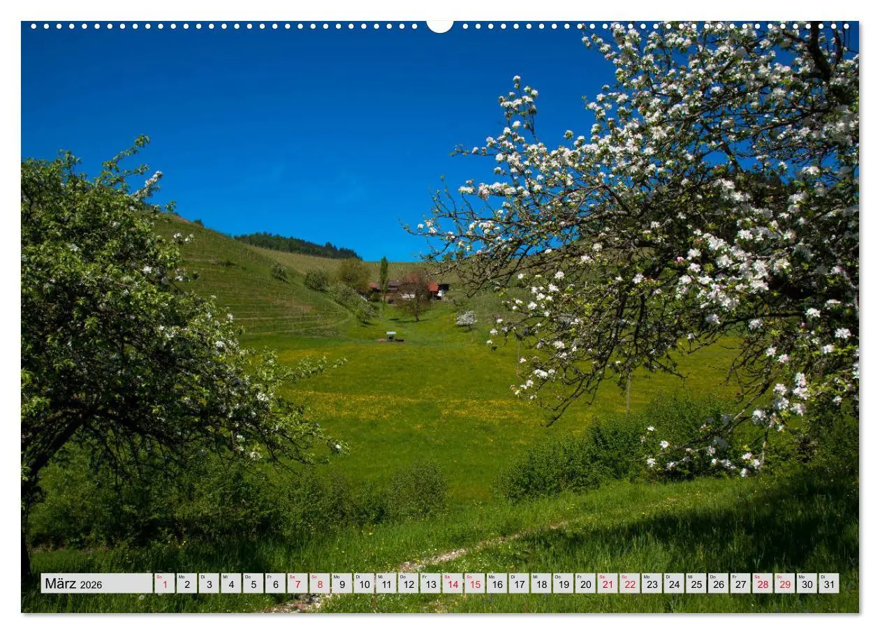 Bild: 9783457931851 | Zauberhaftes Kinzigtal (Wandkalender 2026 DIN A2 quer), CALVENDO...