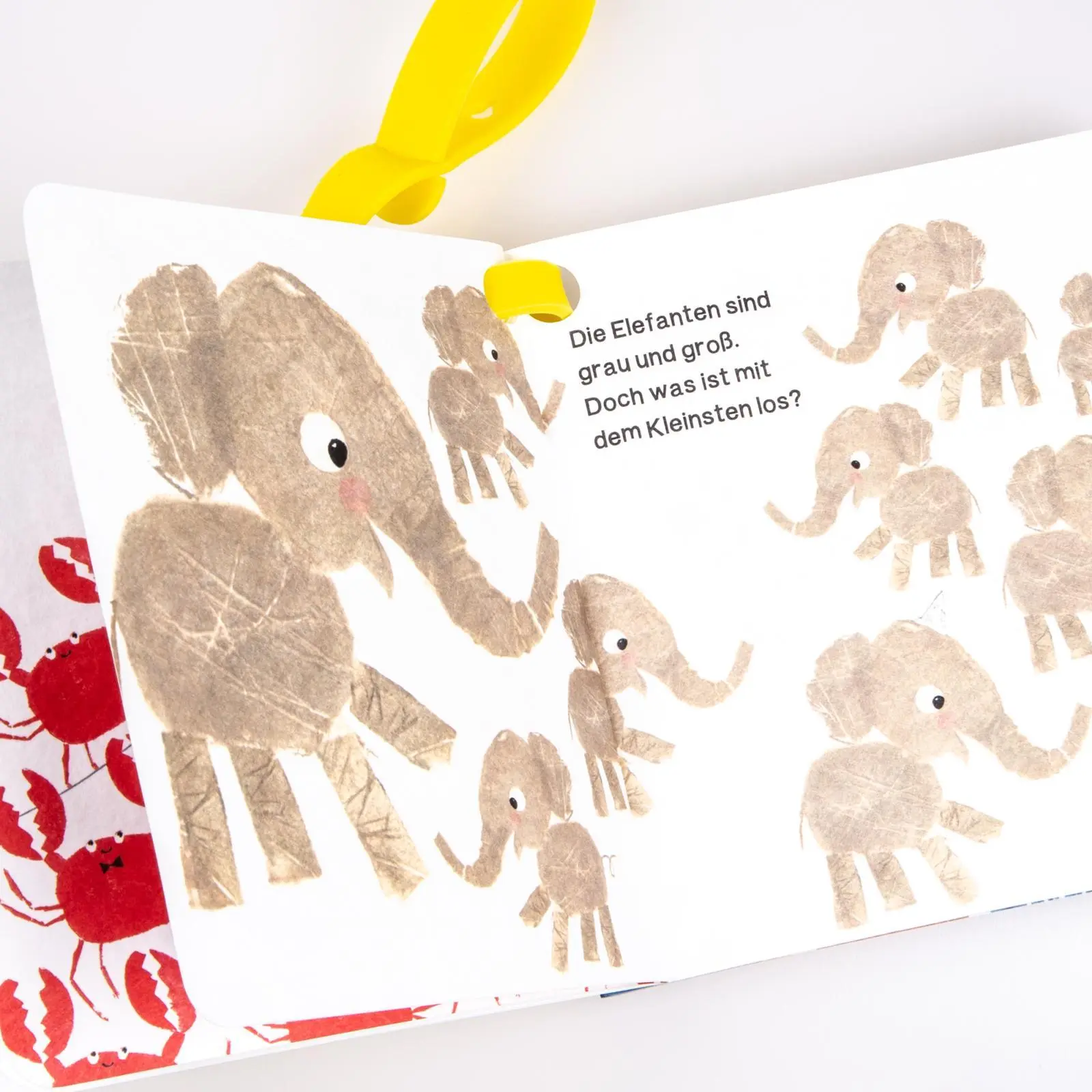 Bild: 9783551051851 | Baby Pixi 83: Mein Baby-Pixi-Buggybuch: Kunterbunt, na und? | Buch