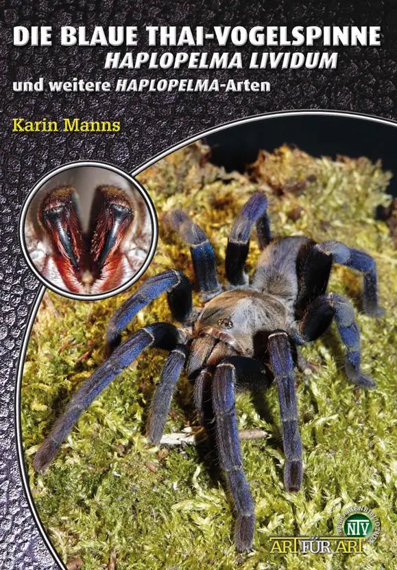 Cover: 9783866591851 | Die Blaue Thai-Vogelspinne | Haplopelma Lividum | Karin Manns | Buch