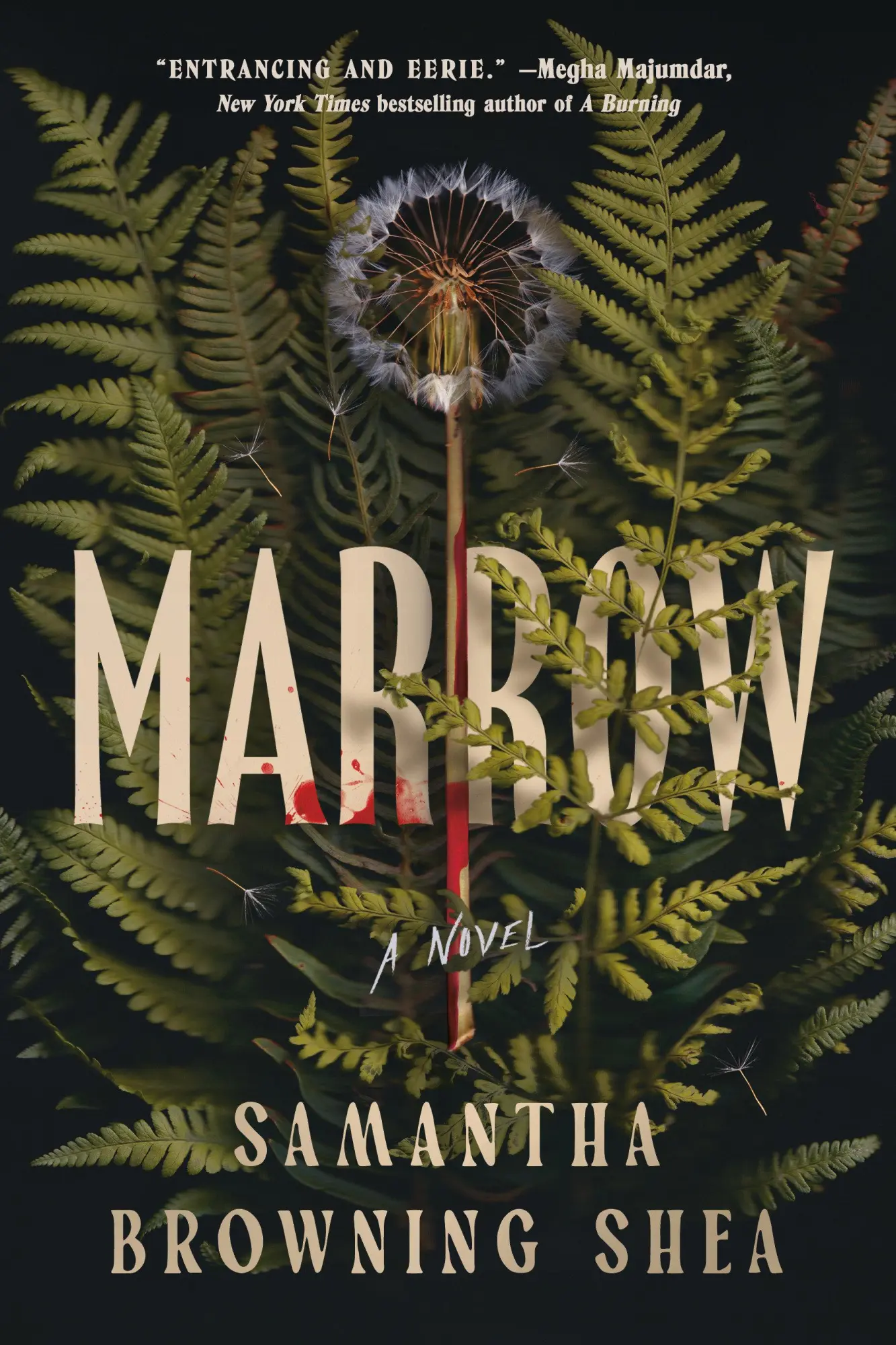 Cover: 9780593851951 | Marrow | Samantha Browning Shea | Buch | Einband - fest (Hardcover)