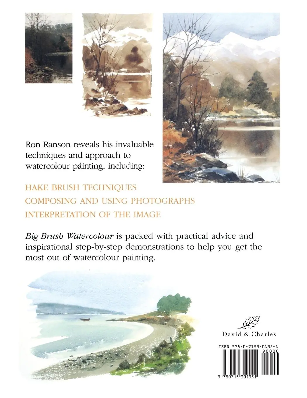 Rückseite: 9780715301951 | Big Brush Watercolor | Ron Ranson | Taschenbuch | Englisch | 1989