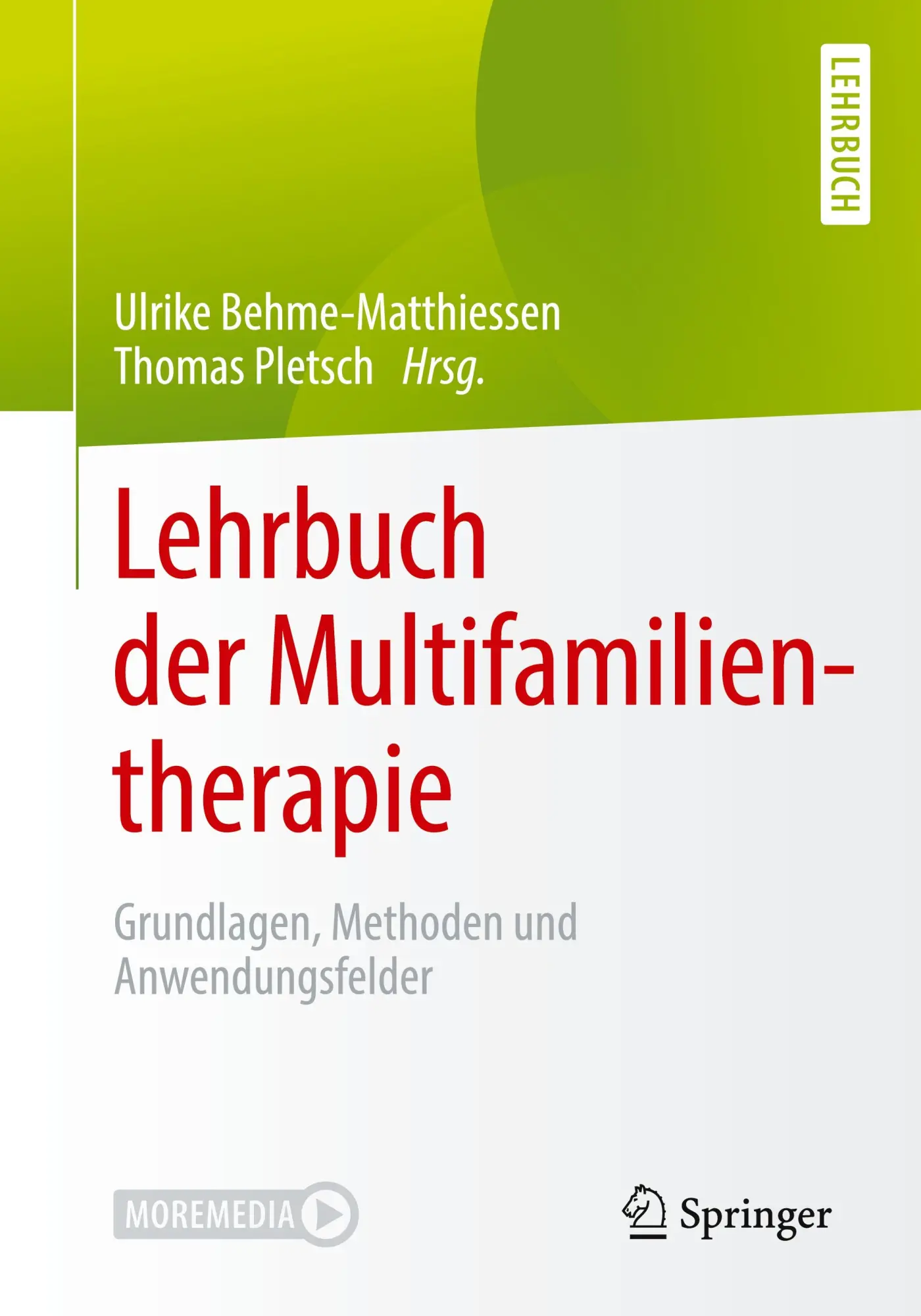 Cover: 9783662611951 | Lehrbuch der Multifamilientherapie | Thomas Pletsch (u. a.) | Bundle