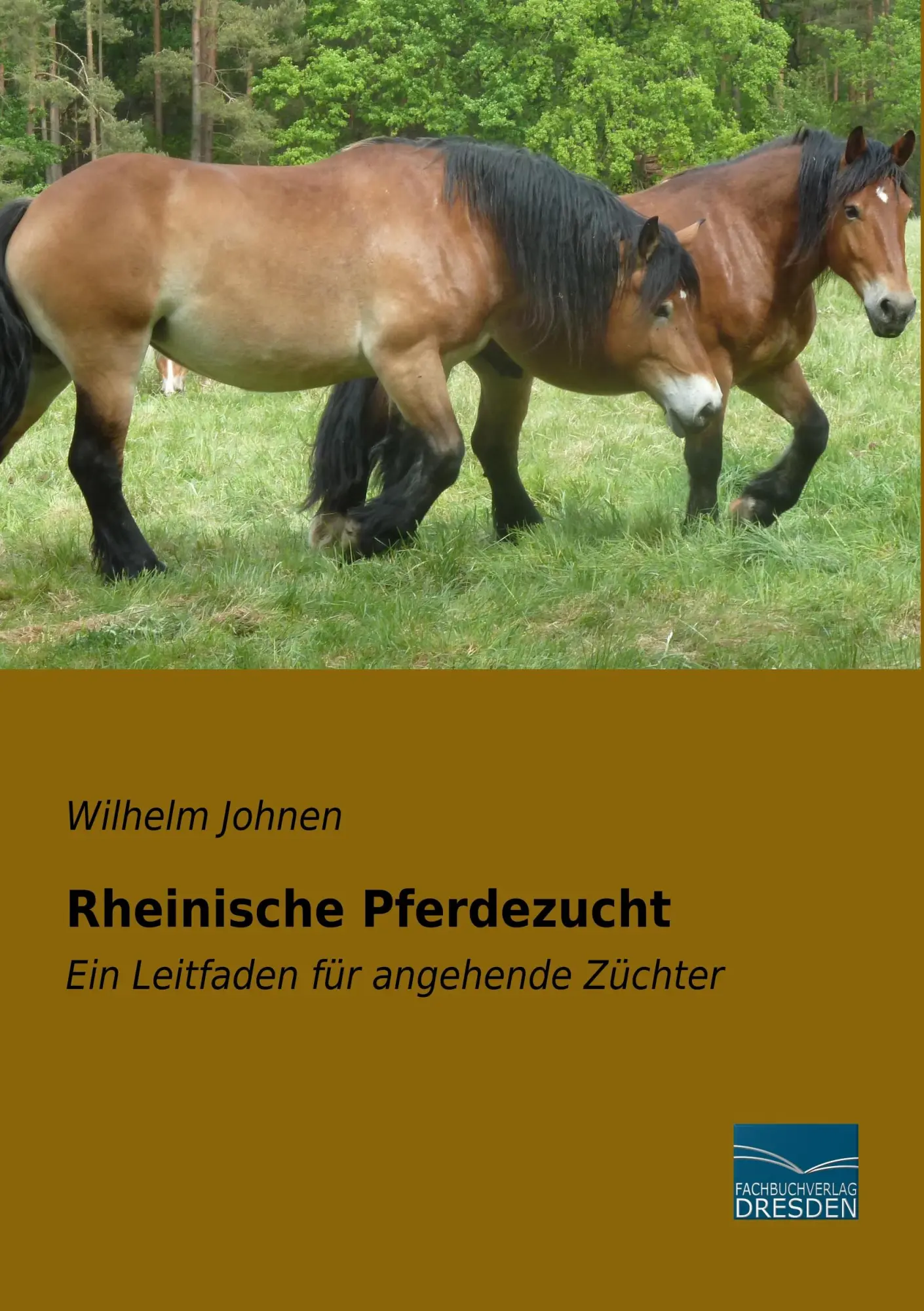 Cover: 9783961691951 | Rheinische Pferdezucht | Ein Leitfaden für angehende Züchter | Johnen