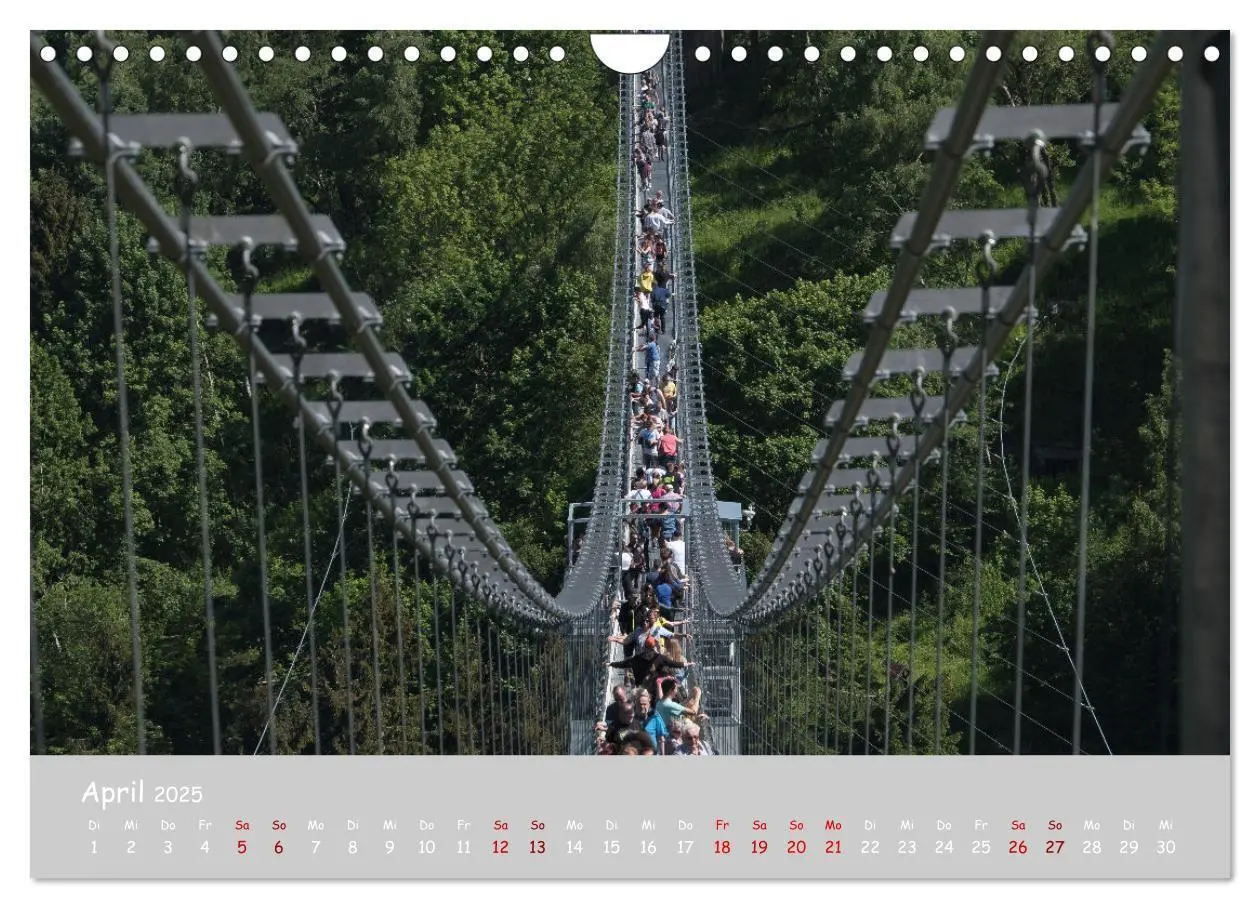 Bild: 9783435032051 | Harzer Impressionen (Wandkalender 2025 DIN A4 quer), CALVENDO...
