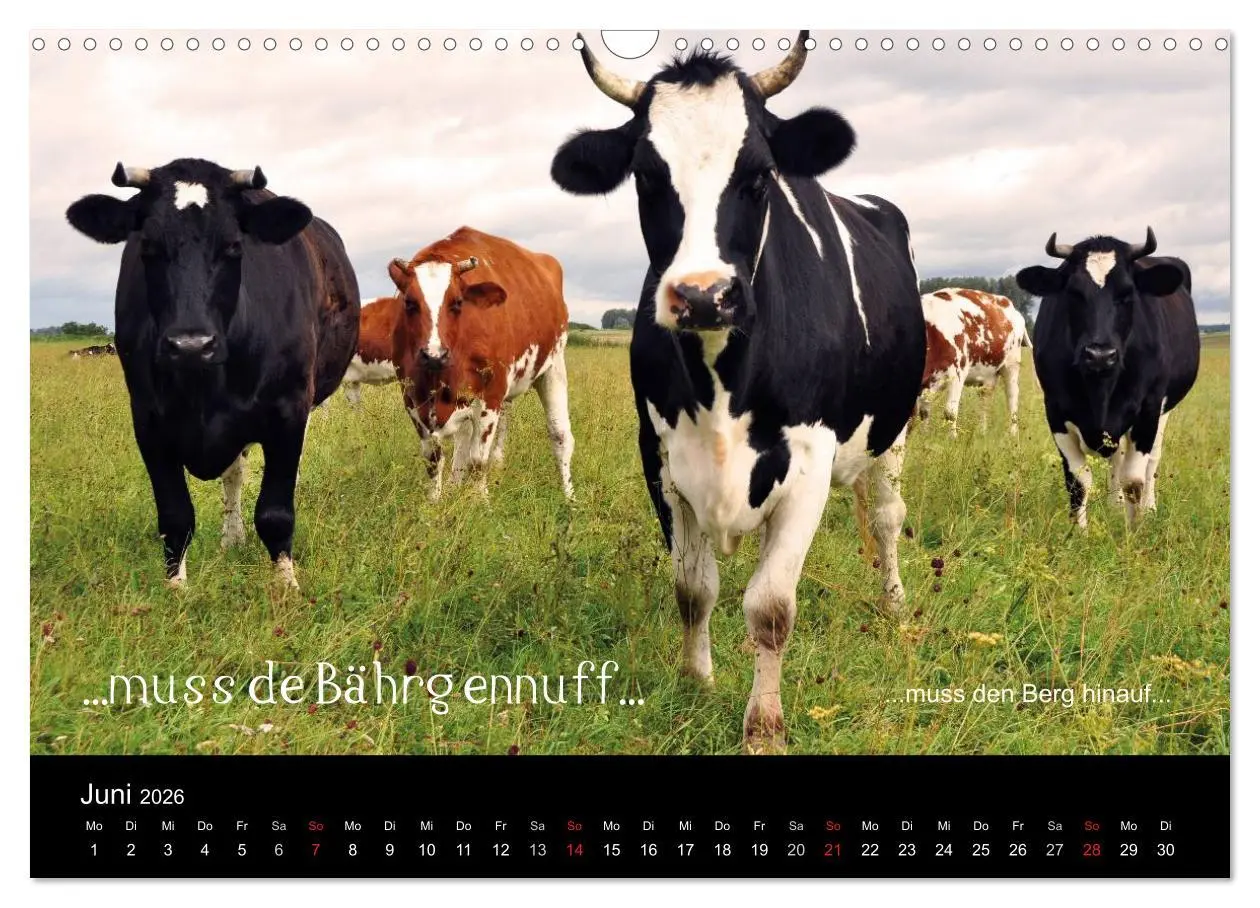 Bild: 9783457982051 | Die Wetterau mit Mundart-Statements (Wandkalender 2026 DIN A3...