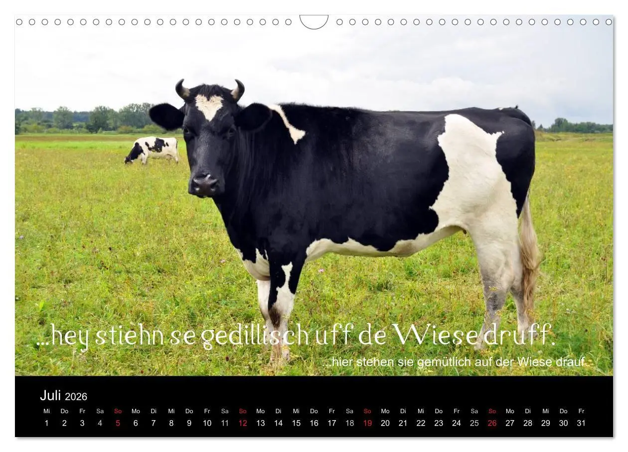 Bild: 9783457982051 | Die Wetterau mit Mundart-Statements (Wandkalender 2026 DIN A3...