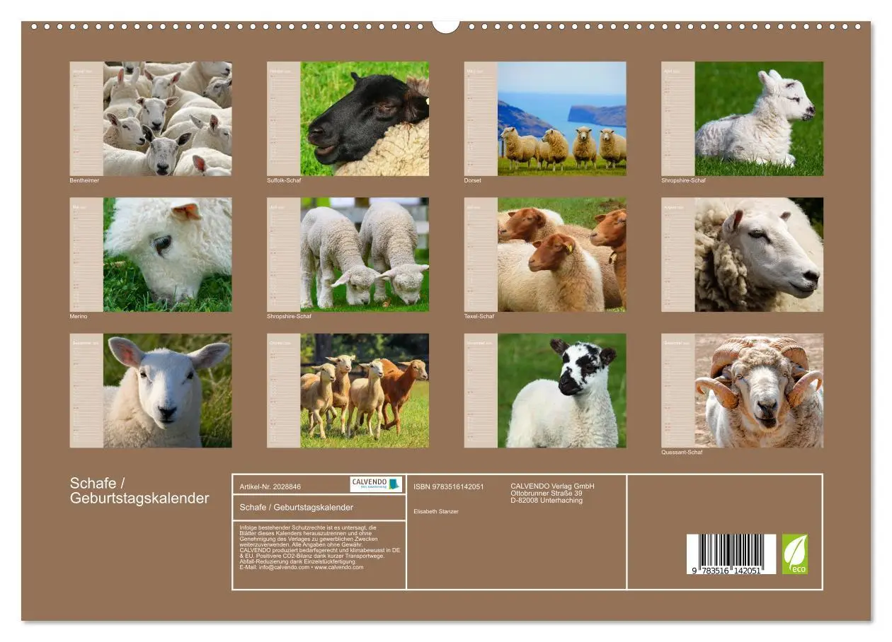 Bild: 9783516142051 | Schafe / Geburtstagskalender (hochwertiger Premium Wandkalender...