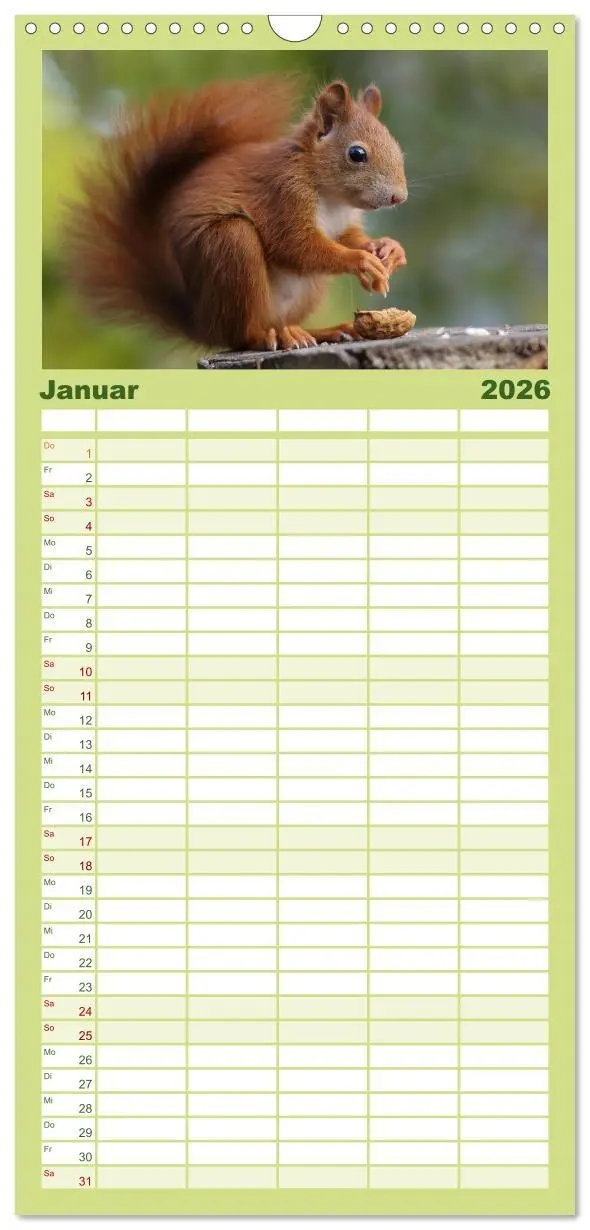Bild: 9783516522051 | Familienplaner 2026 - Eichhörnchen Kinder mit 5 Spalten...