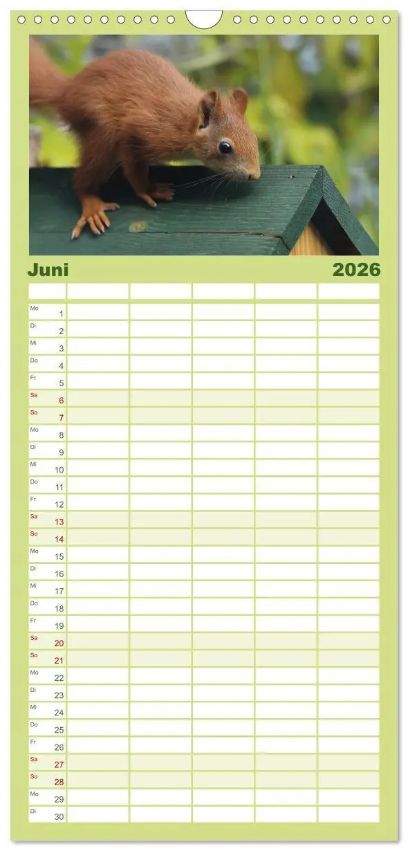 Bild: 9783516522051 | Familienplaner 2026 - Eichhörnchen Kinder mit 5 Spalten...