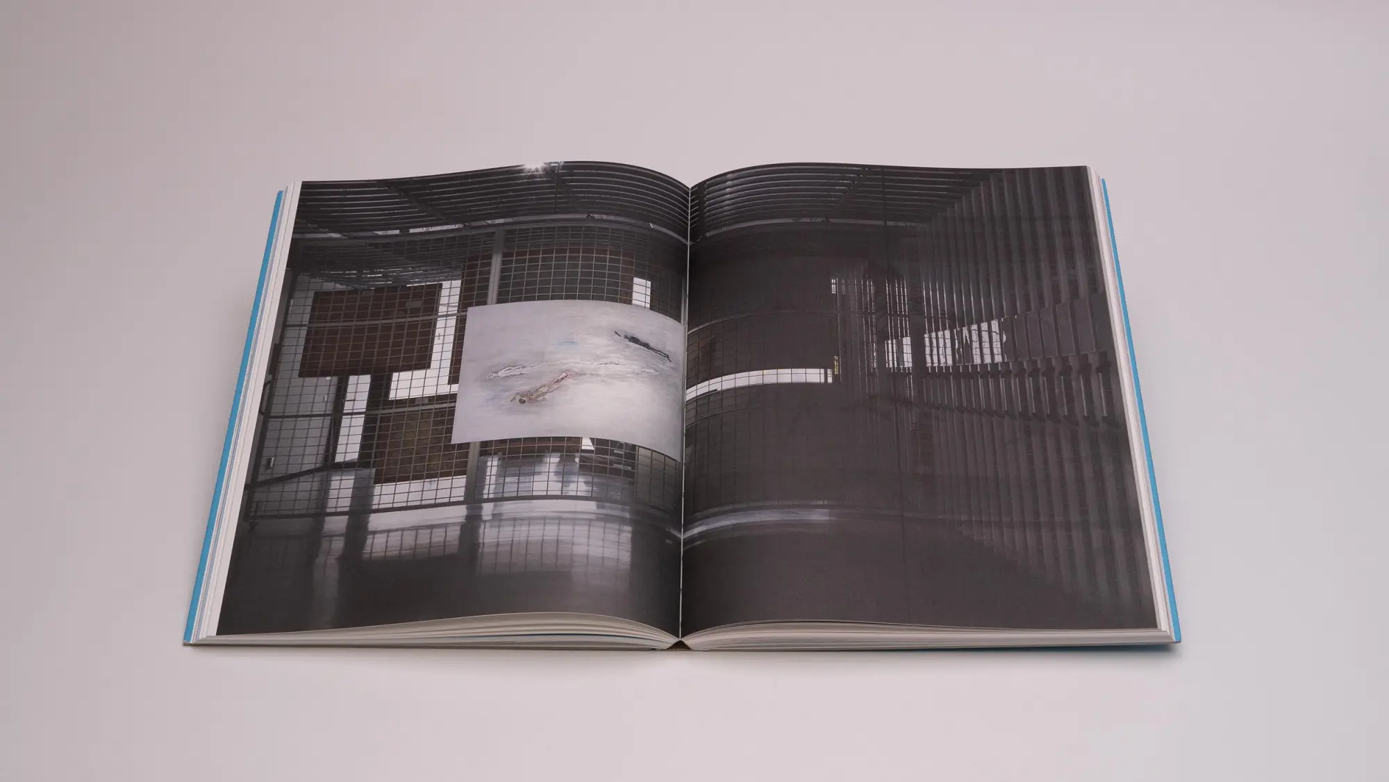 Bild: 9783969122051 | Clemens Krauss - Antidot Gegengift | Tereza de Arruda (u. a.) | Buch