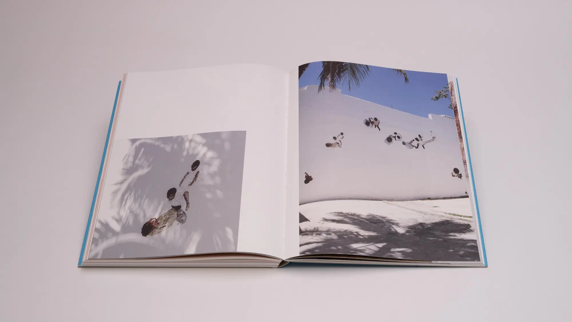 Bild: 9783969122051 | Clemens Krauss - Antidot Gegengift | Tereza de Arruda (u. a.) | Buch