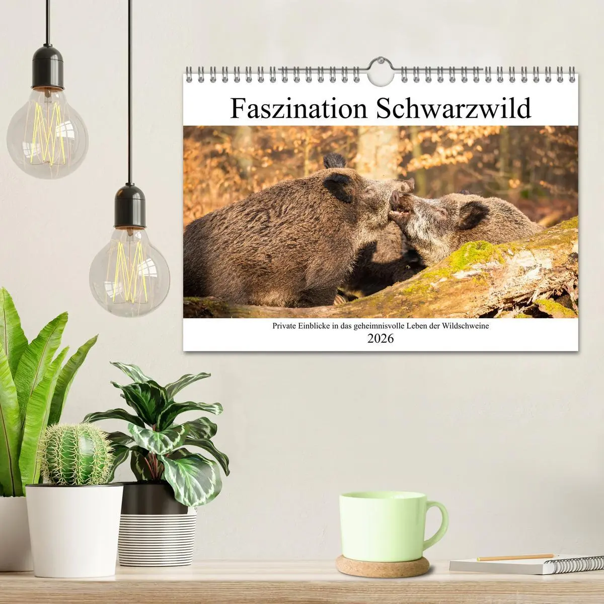 Bild: 9783457662151 | Faszination Schwarzwild (Wandkalender 2026 DIN A4 quer), CALVENDO...