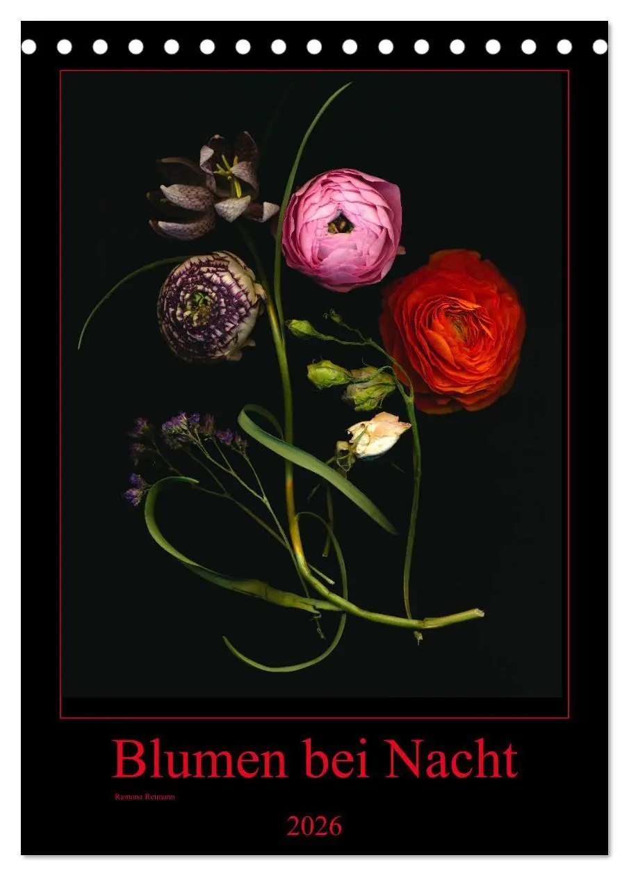 Cover: 9783516372151 | Blumen bei Nacht (Tischkalender 2026 DIN A5 hoch), CALVENDO...
