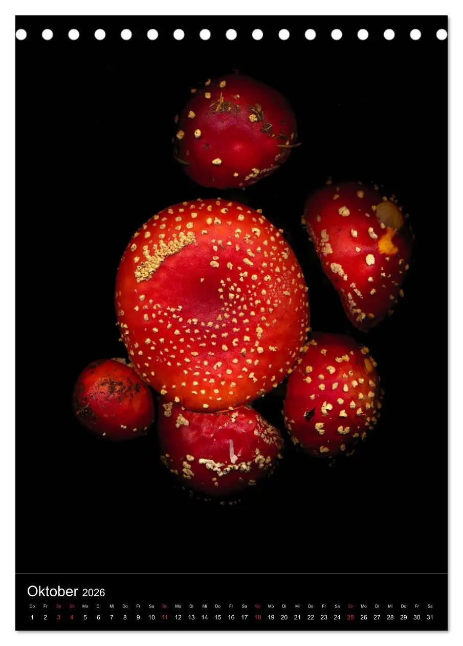 Bild: 9783516372151 | Blumen bei Nacht (Tischkalender 2026 DIN A5 hoch), CALVENDO...
