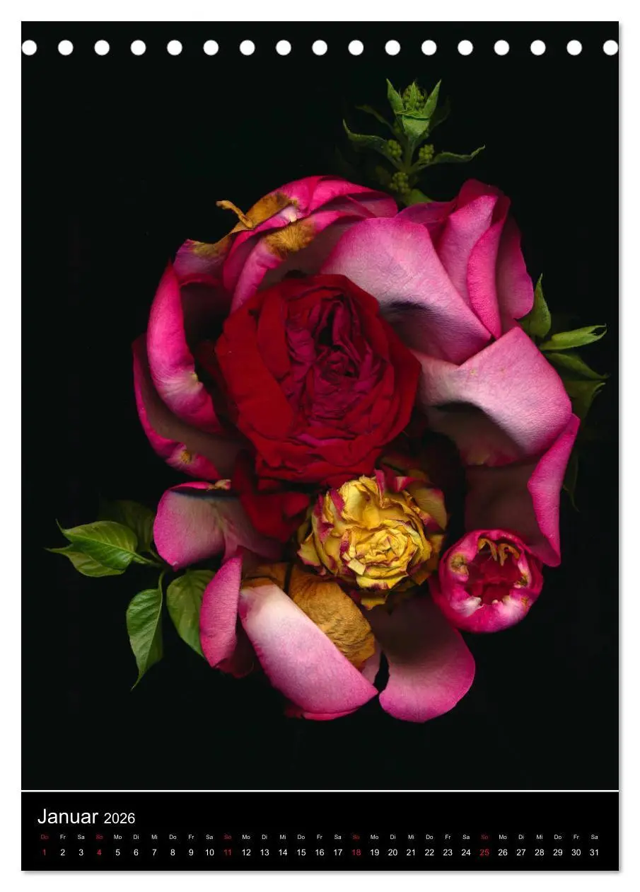 Bild: 9783516372151 | Blumen bei Nacht (Tischkalender 2026 DIN A5 hoch), CALVENDO...