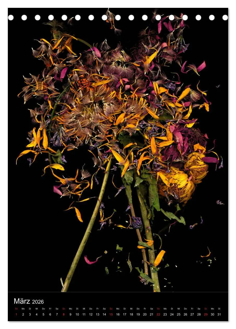 Bild: 9783516372151 | Blumen bei Nacht (Tischkalender 2026 DIN A5 hoch), CALVENDO...