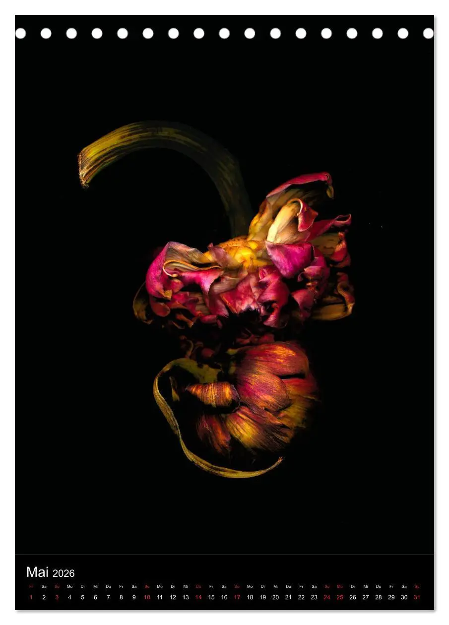 Bild: 9783516372151 | Blumen bei Nacht (Tischkalender 2026 DIN A5 hoch), CALVENDO...