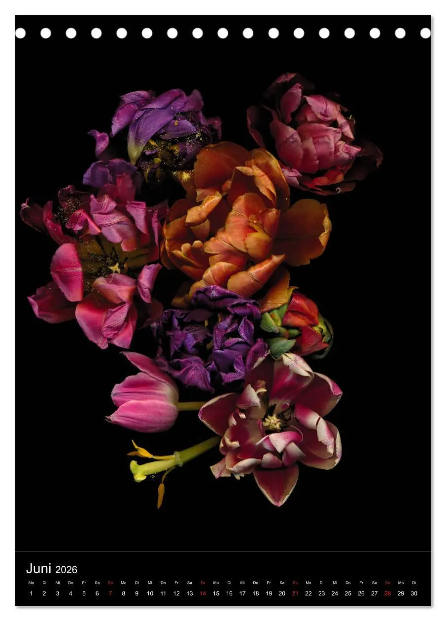 Bild: 9783516372151 | Blumen bei Nacht (Tischkalender 2026 DIN A5 hoch), CALVENDO...