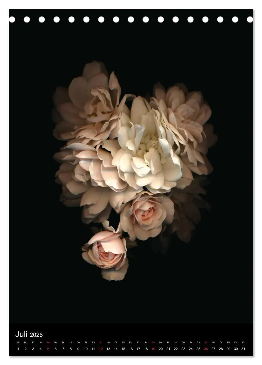 Bild: 9783516372151 | Blumen bei Nacht (Tischkalender 2026 DIN A5 hoch), CALVENDO...