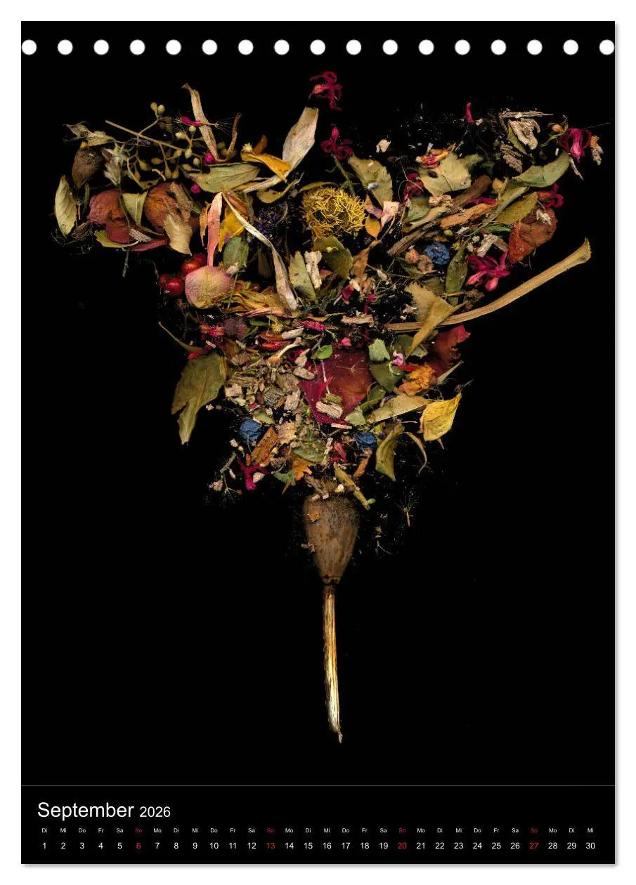 Bild: 9783516372151 | Blumen bei Nacht (Tischkalender 2026 DIN A5 hoch), CALVENDO...