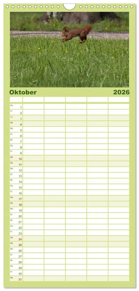 Bild: 9783516512151 | Familienplaner 2026 - Mit dem Eichhörnchen durchs Jahr mit 5...