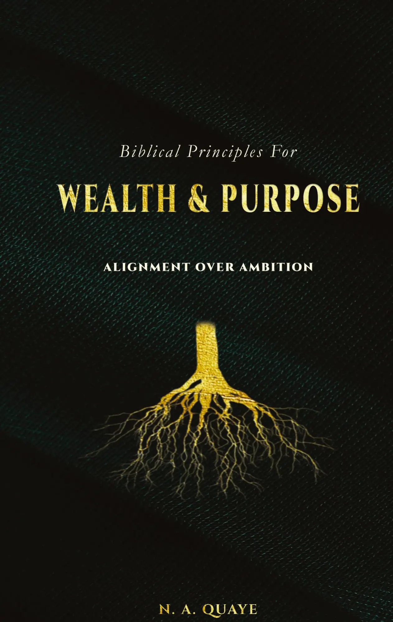 Cover: 9783695712151 | Biblical Principles for Wealth &amp; Purpose | Alignment Over Ambition