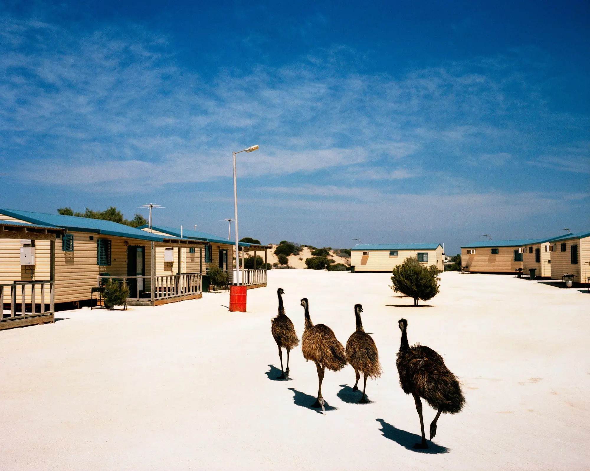 Bild: 9783903462151 | AUSTRALIEN &amp; DIE NEUE WELT | Cyril Drouhet (u. a.) | Taschenbuch