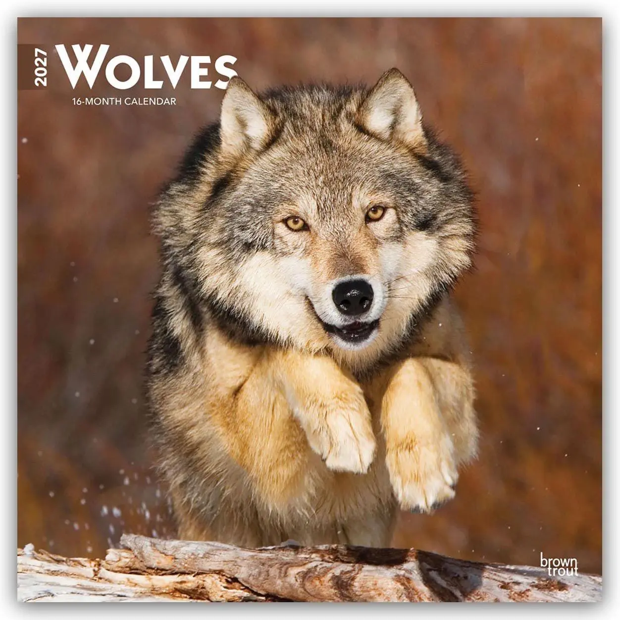 Cover: 9798330712151 | Wolves - Wölfe 2027 - 16-Monatskalender | Browntrout Publishers | 2027