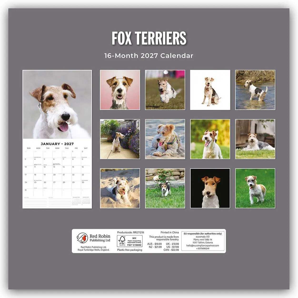 Rückseite: 9781837012251 | Fox Terriers - Foxterrier 2027 - 16-Monatskalender | Robin Red | 28 S.