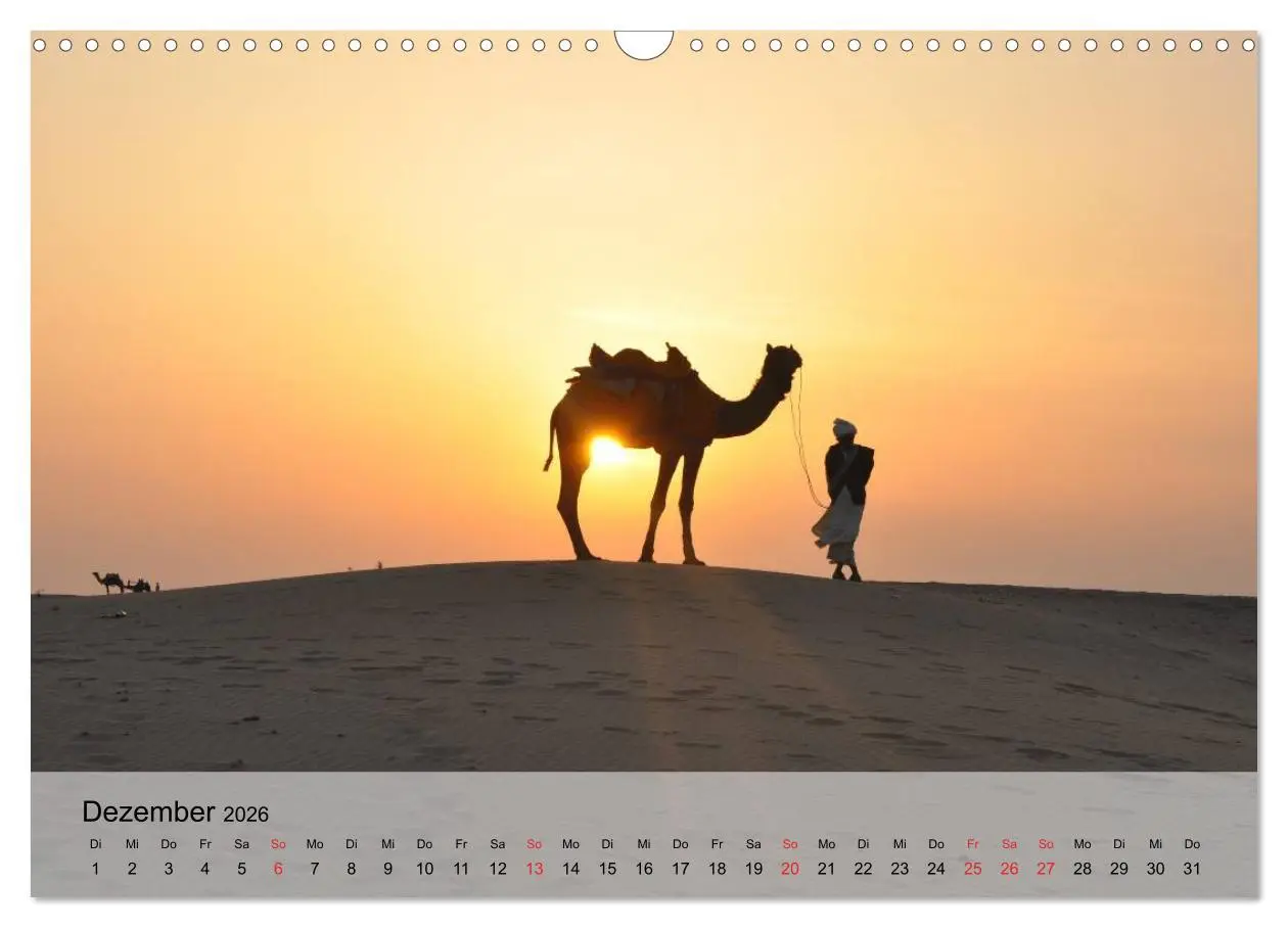 Bild: 9783516052251 | Kamele in der Wüstensonne (Wandkalender 2026 DIN A3 quer), CALVENDO...